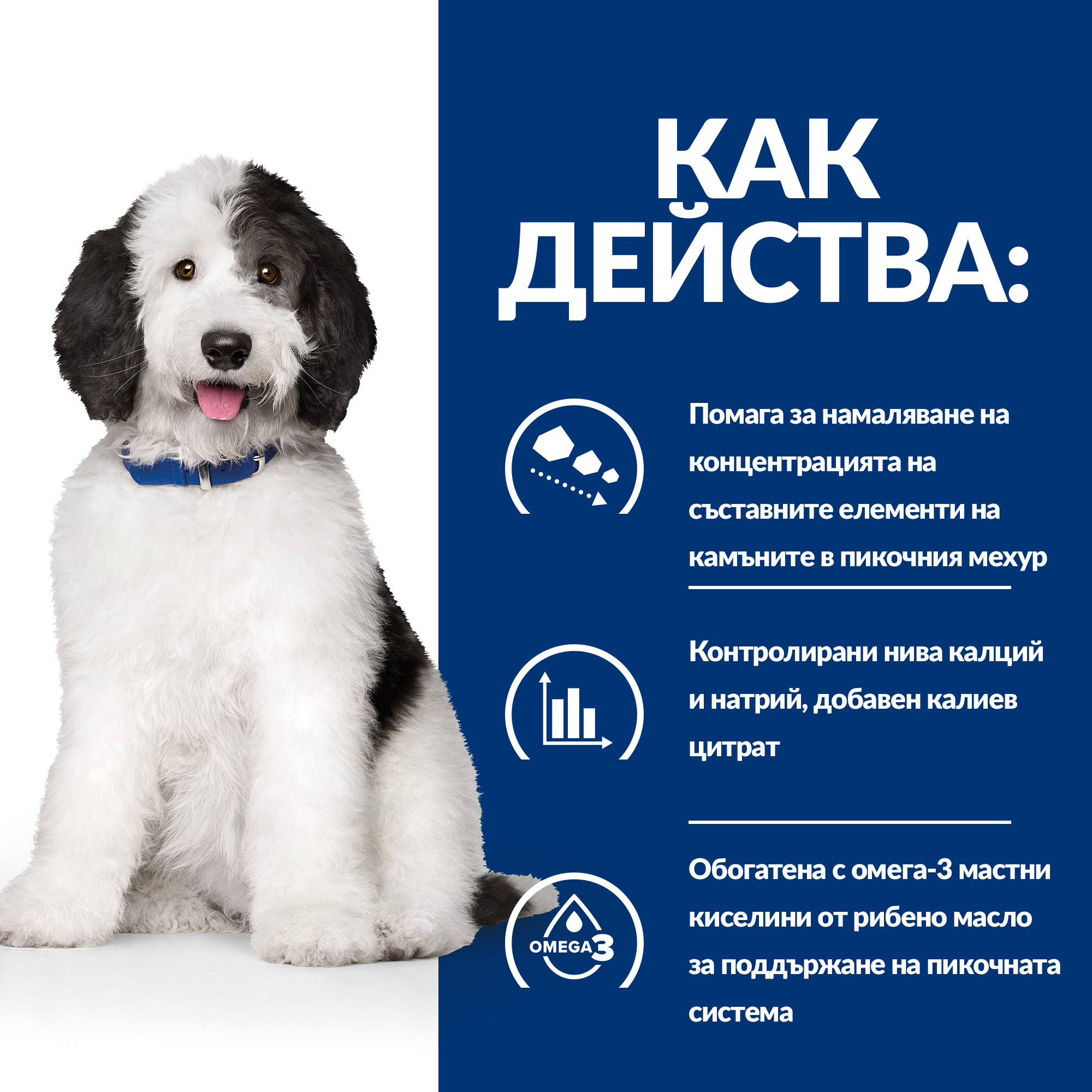 5_PD cd DOG_BK26434M_BK32581_BK28303_BK28465_How_Works_BG