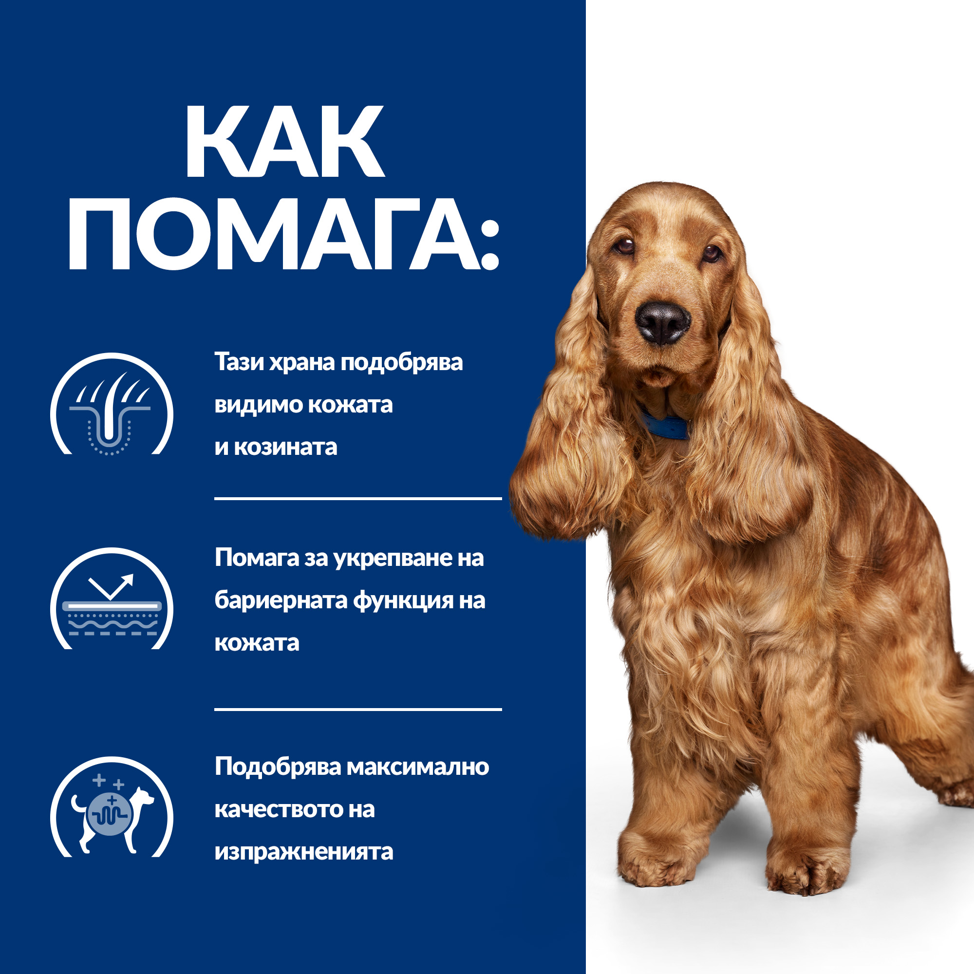 5_PD zd DOG_BK30873M_BK30972_How_Helps_BG