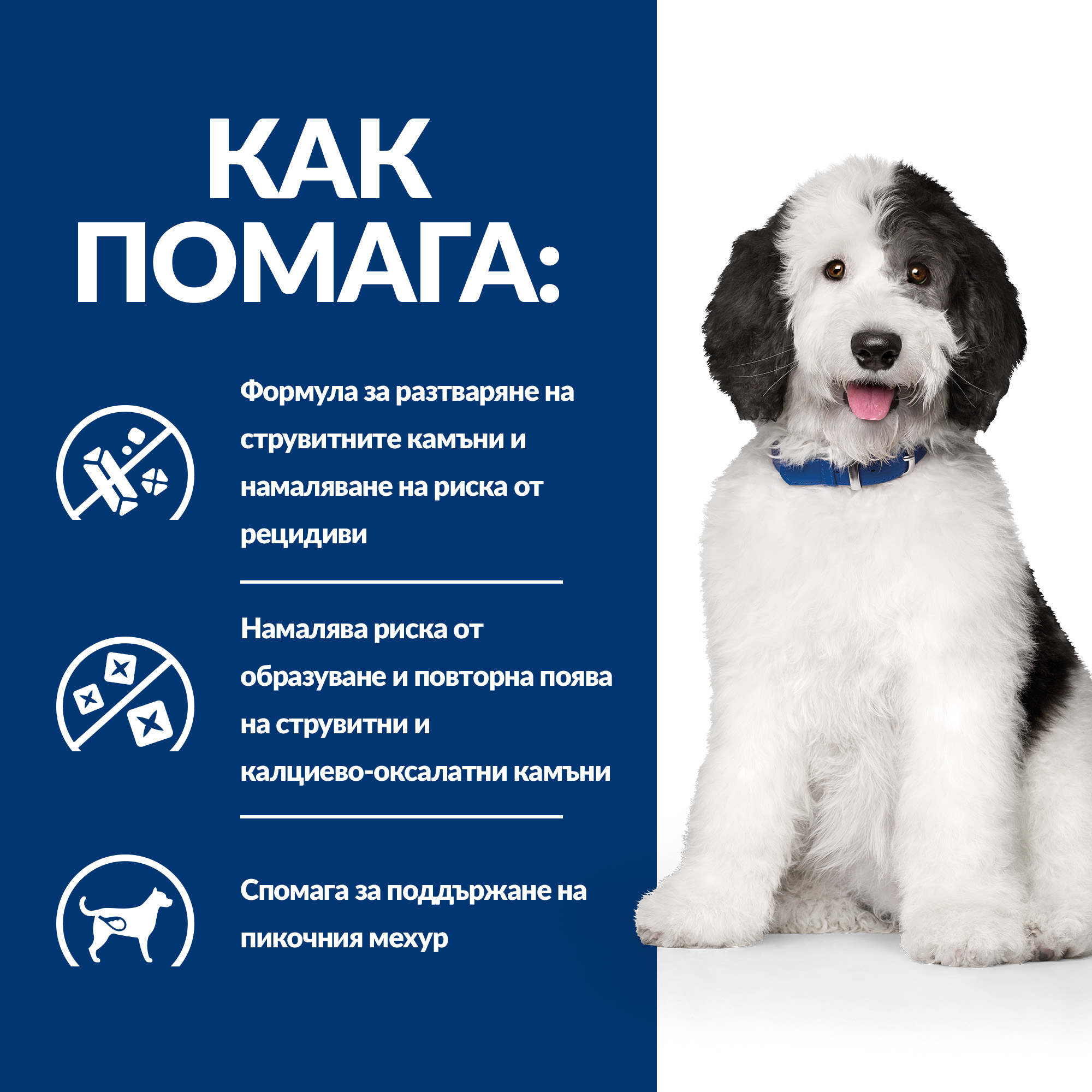 6_PD cd DOG_BK26434M_BK32581_BK28303_BK28465_How_Helps_BG