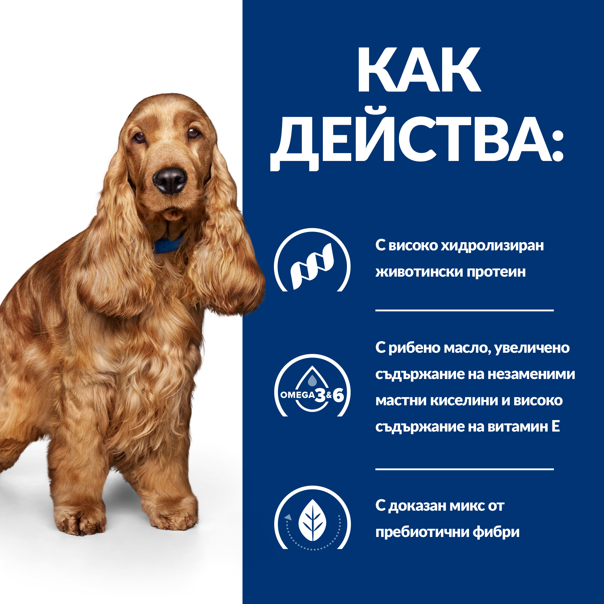 6_PD zd DOG_BK30873M_BK30972_How_Works_BG