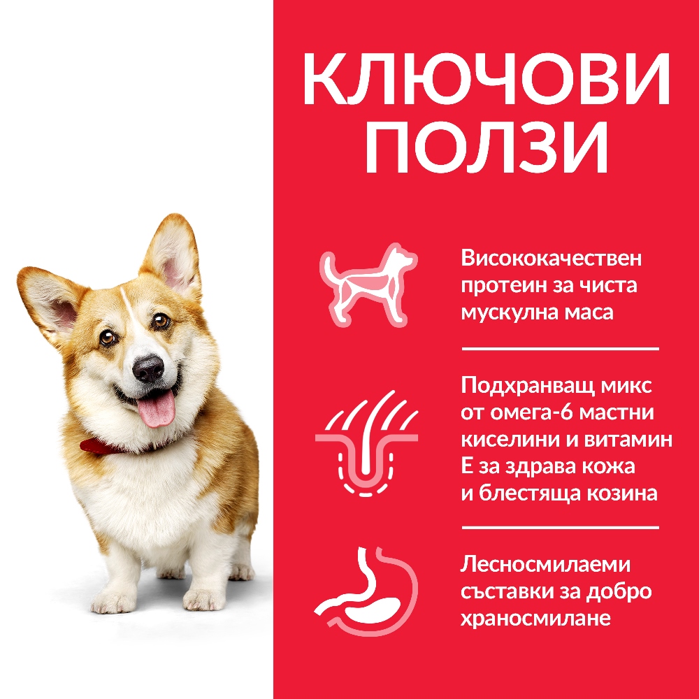 DOG_Adult_S&M_Chicken_Transition-Benefits