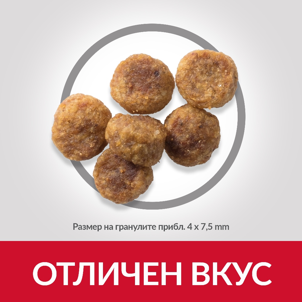 DOG_Adult_S&M_Lamb_Kibbles