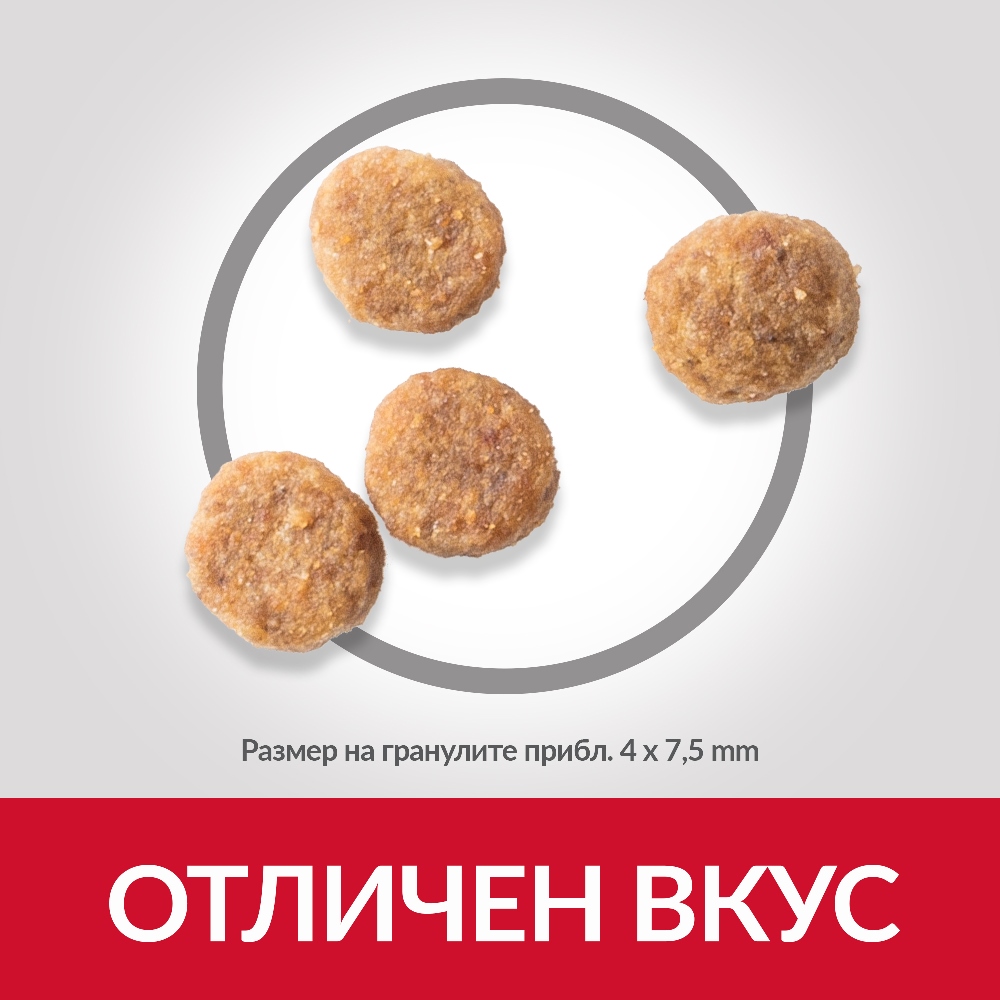 DOG_Adult_S&M_Stomach_Skin_Chicken_Kibbles
