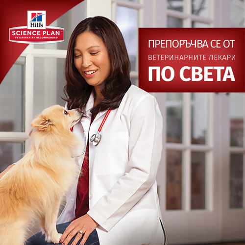 Thumbnail-_2000X2000__Recommended-by-vets_Dog_BG_cor.2