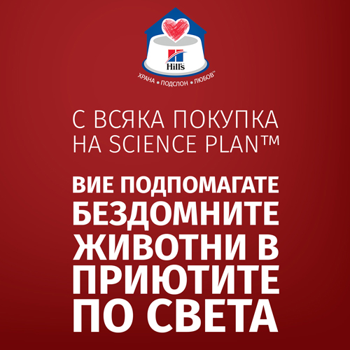 Thumbnail-_2000X2000__Shelter-message_BG_cor.2
