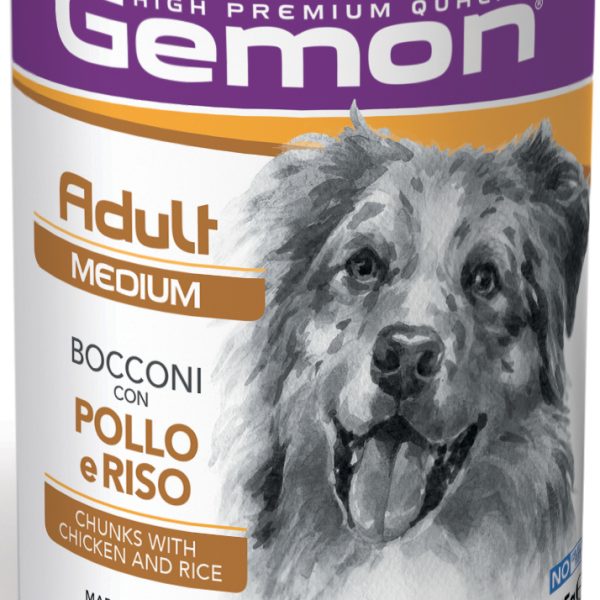 GEMON DOG  Adult Chicken&Rice