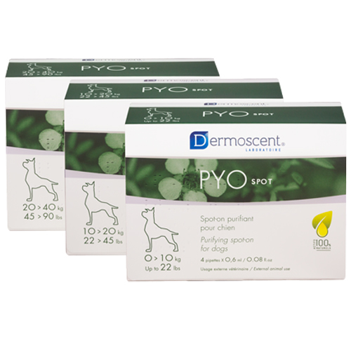 Dermoscent PYOspot® – Пречистващ спот-он за подобряване на контрола на кожните инфекции - кутия с 4 пипети