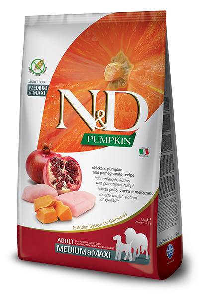 nd-pumpkin-adult-medium-maxi-chicken-pumpkin-pomegranate